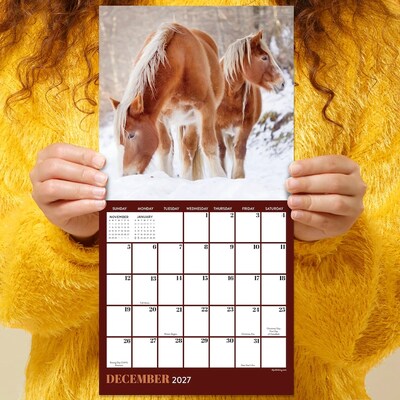 2027 TF Publishing Horses 7" x 7" Monthly Wall Calendar, Multicolored (27-2001)