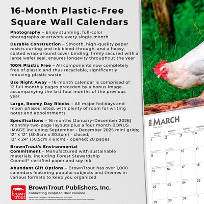2026 BrownTrout Chickens 12" x 12" Monthly Wall Calendar (9798330702909)