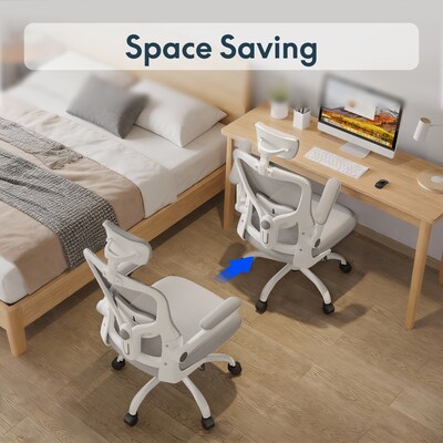 FlexiSpot Pro Comfort Swivel Computer and Desk Chair, Gray (OC1GY-SD-DP)