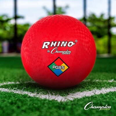 Physical Education Kit, 7 Assorted Balls & 14 Assorted Size Jump Ropes/Kit (CHUUPGSET2)