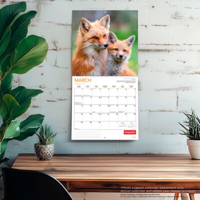 2026 Wyman Canadian Geographic Foxes 12" x 12" Monthly Wall Calendar (9781525699832)