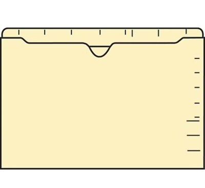 Medical Arts Press File Pocket, Letter Size, Manila, 100/Box (23934R)
