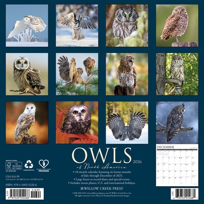 2026 Willow Creek Owls 12 x 12 Monthly Wall Calendar (52266)