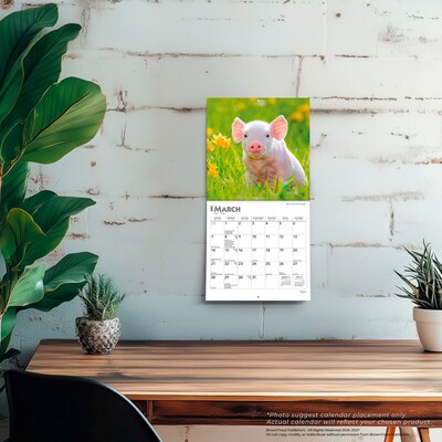 2027 BrownTrout Piglets 7" x 7" Monthly Wall Calendar (9798330709816)