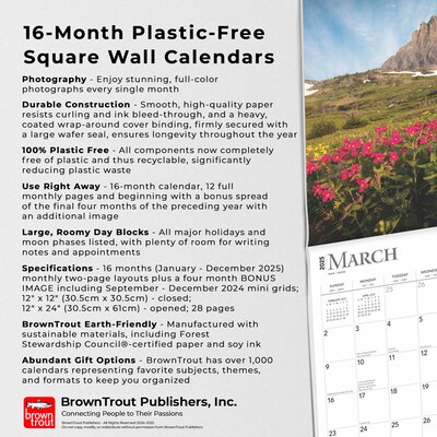 2025 BrownTrout Tranquility 12" x 12" Monthly Square Wall Calendar (9781975477882)