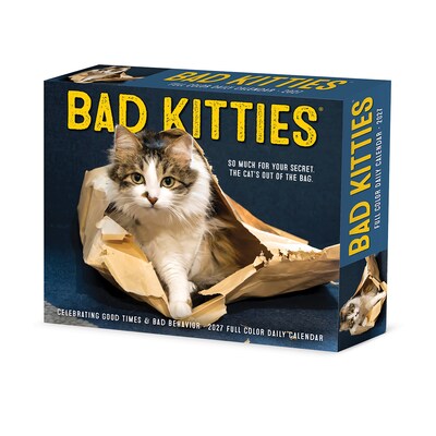 2027 Willow Creek Bad Kitties 6.2 x 5.4 Daily Day-to-Day Calendar, Assorted Colors (63293)