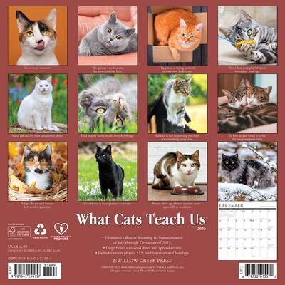 2026 Willow Creek What Cats Teach Us 12 x 12 Monthly Wall Calendar (53157)