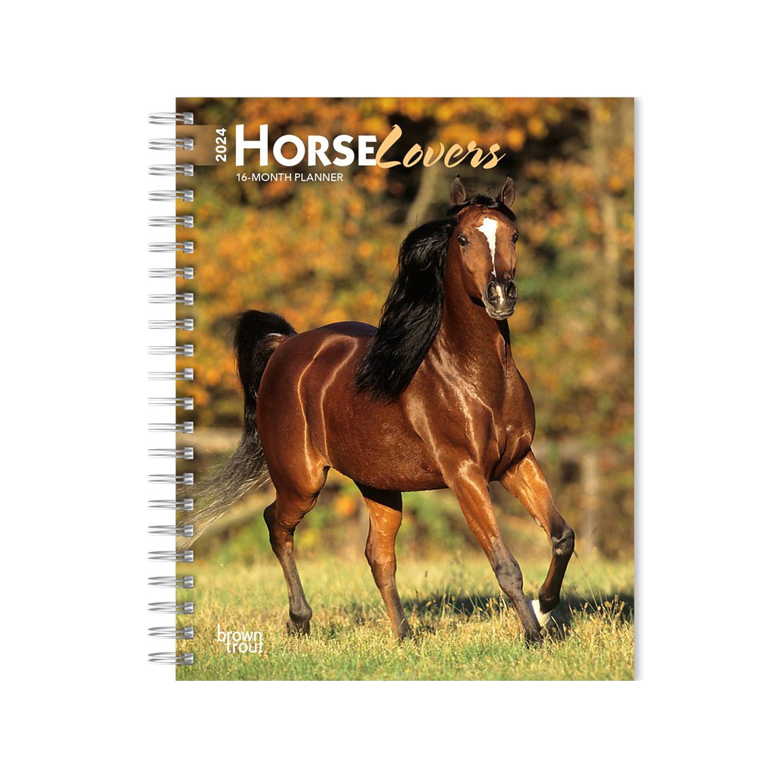 2024 BrownTrout Horse Lovers 6 x 7.75 Weekly & Monthly Engagement Planner, Multicolor (9781975468743)