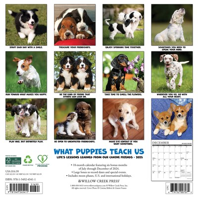 2025 Willow Creek What Puppies Teach Us 12 x 12 Monthly Wall Calendar (45411)