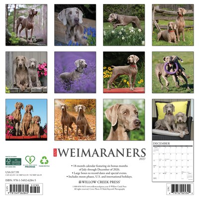 2027 Willow Creek 12 x 12 Monthly Wall Calendar, Assorted Colors (62845)