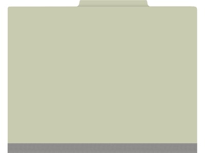 Medical Arts Press Pressboard Classification Folder, 1-Divider, 2 Expansion, Letter Size, Green, 10/Box (DV-T42-14-3GRN-PKT)