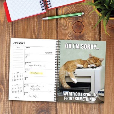 2026 Willow Creek Cat-astrophe 6.5" x 8.5" Daily & Monthly Personal Organizer (54598)