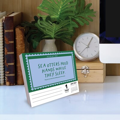 2027 Willow Creek 365 Days of Random 6.2" x 5.4" Daily Day-to-Day Calendar, Assorted Colors (64993)