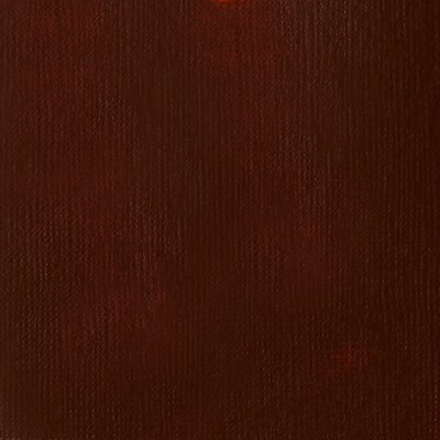 Liquitex BASICS Acrylic Paint Tube, Burnt Umber, 250 mL (LIQ4385128)