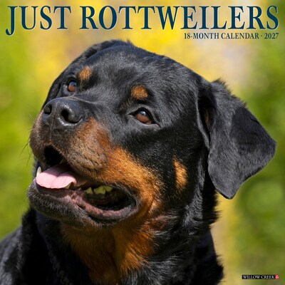 2027 Willow Creek Rottweilers 12 x 12 Monthly Wall Calendar, Assorted Colors (62104)