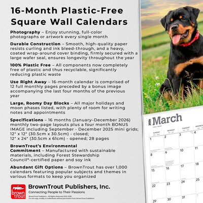 2026 BrownTrout Rottweilers 12" x 12" Monthly Wall Calendar (9798330705399)