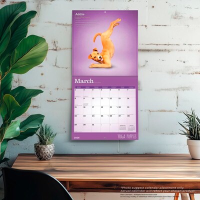 2026 Plato Yoga Puppies 12" x 12" Monthly Wall Calendar (9798330701995)