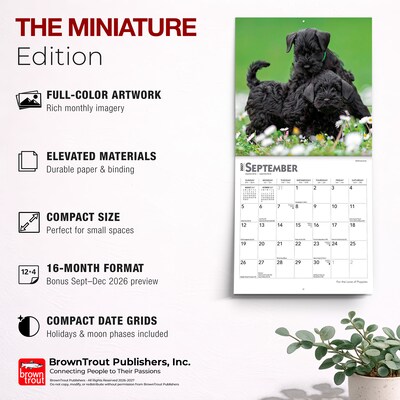 2027 BrownTrout For the Love of Puppies 7" x 7" Monthly Wall Calendar (9798330709748)