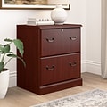 Bush Business Furniture Arlington 2-Drawer Lateral File Cabinet, Harvest Cherry (WC65554-03)