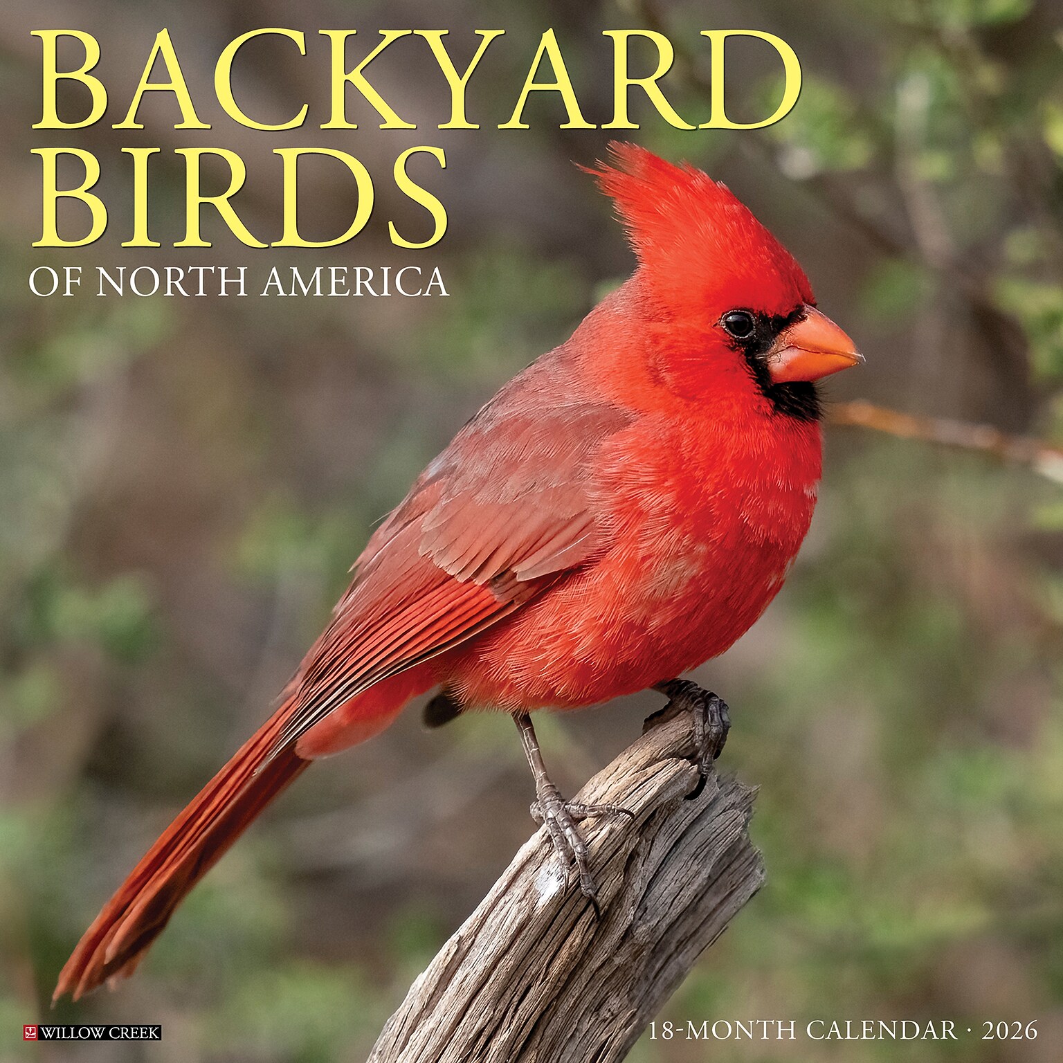 2026 Willow Creek Backyard Birds 12 x 12 Monthly Wall Calendar (50026X)