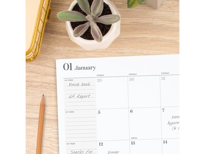 2025 Cambridge WorkStyle 8.5" x 11" Monthly Planner, Paper Cover, Seaside Blue (1606-091-12-25)
