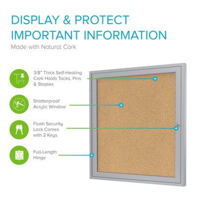 Ghent 3 H x 3 W Enclosed Natural Cork Bulletin Board with Satin Frame, 1 Door (PA13636K)
