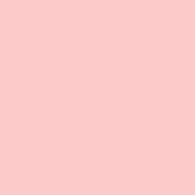 FolkArt Acrylic Paint Matte, 8oz., Conch Shell, 3/Pack (FLK36355-3)