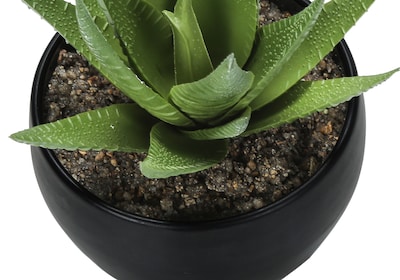 Monarch Specialties Inc. 6" Artificial Succulent Plants, 3/Set (I 9556)