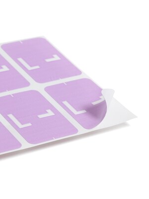 Smead AlphaZ ACCS Identification & Color Coding Label, L, Purple/White, 100/Pack (67192)