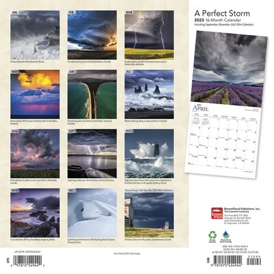 2023 BrownTrout A Perfect Storm 12 x 24 Monthly Wall Calendar, (9781975454944)