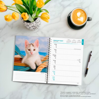 2027 BrownTrout Kittens 6.5" x 7.8" Calendar Year Weekly Standard Planner, Multicolor (9798330709434)