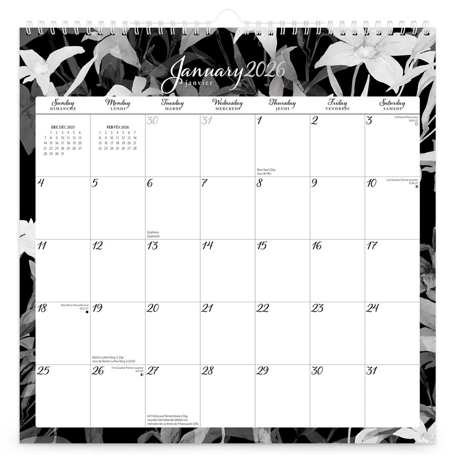 2026 BrownTrout Pen & Ink 12 x 12 Monthly Wall Calendar (9798330707577)