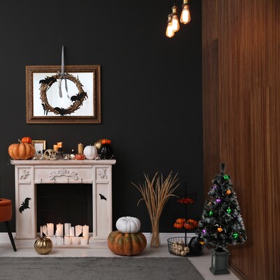 National Tree Company 30-Piece Halloween Ball Ornaments Set (PG11-06119A6026)