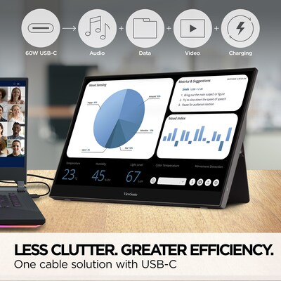 ViewSonic 15.6" 60Hz LED Monitor, Black (TD1655)