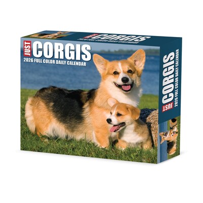 2026 Willow Creek Corgis 6.2" x 5.4" Day-to-Day Calendar (54079)