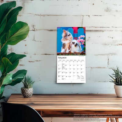 2027 BrownTrout Honey Bunny 7" x 7" Monthly Wall Calendar (9798330709809)