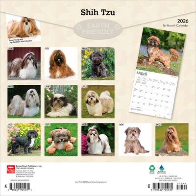 2026 BrownTrout Shih Tzu 12 x 12 Monthly Wall Calendar (9798330705535)