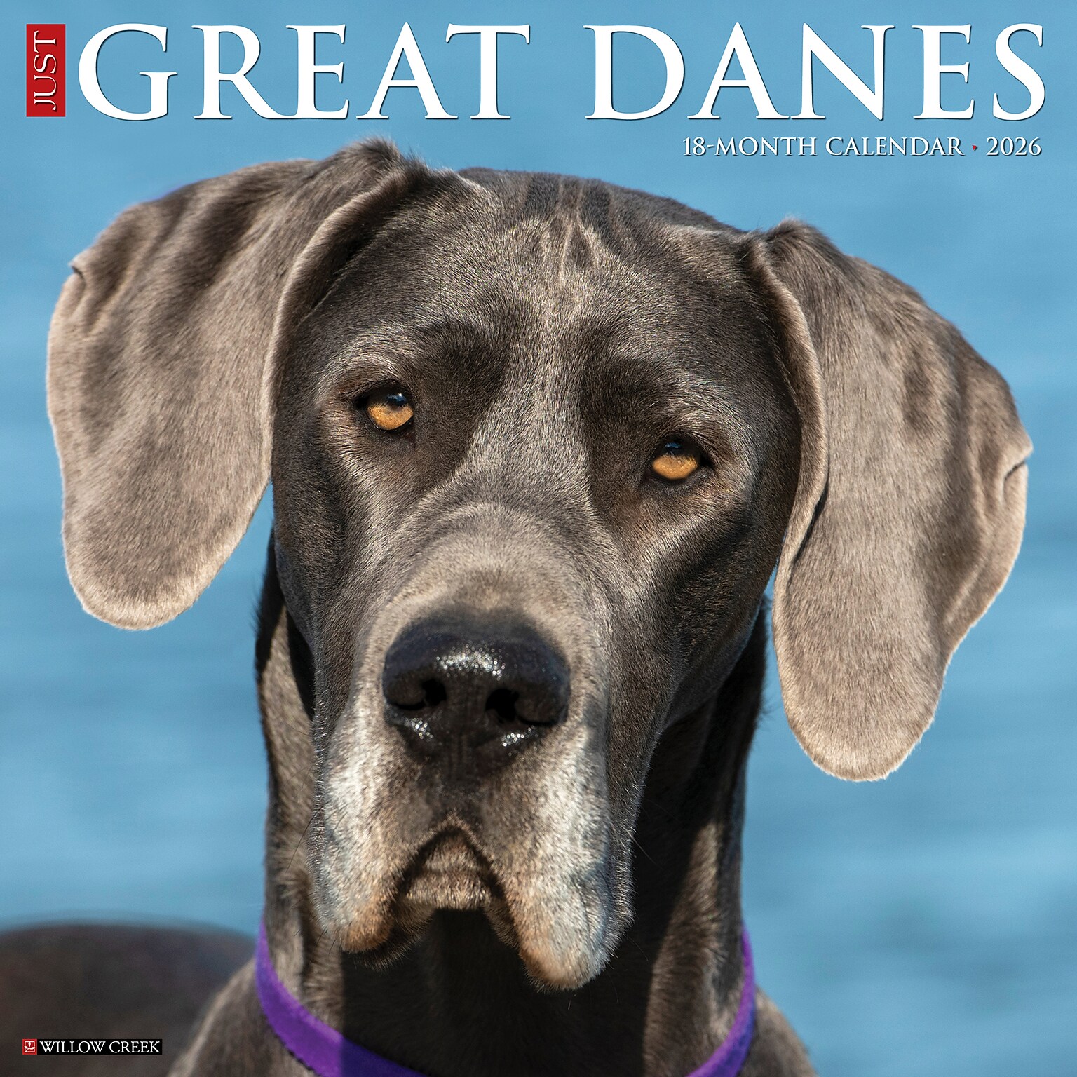 2026 Willow Creek Great Danes 12 x 12 Monthly Wall Calendar (51351)