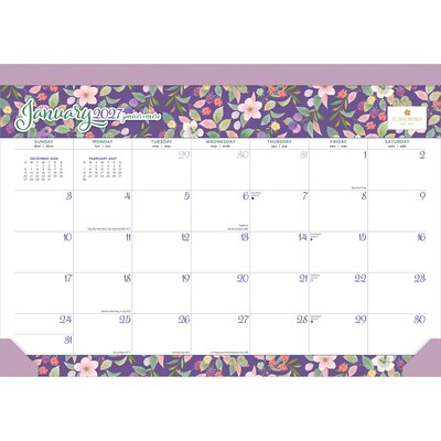 2027 BrownTrout House of Turnowsky 15.5 x 11 Monthly Desk Pad Calendar, Assorted Colors (9798330713431)