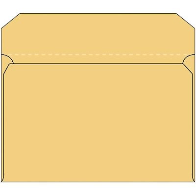 Quill Brand® Ungummed Side Opening Catalog Envelope, 10 x 15, Brown-Kraft, 100/Box (UG1015OS)