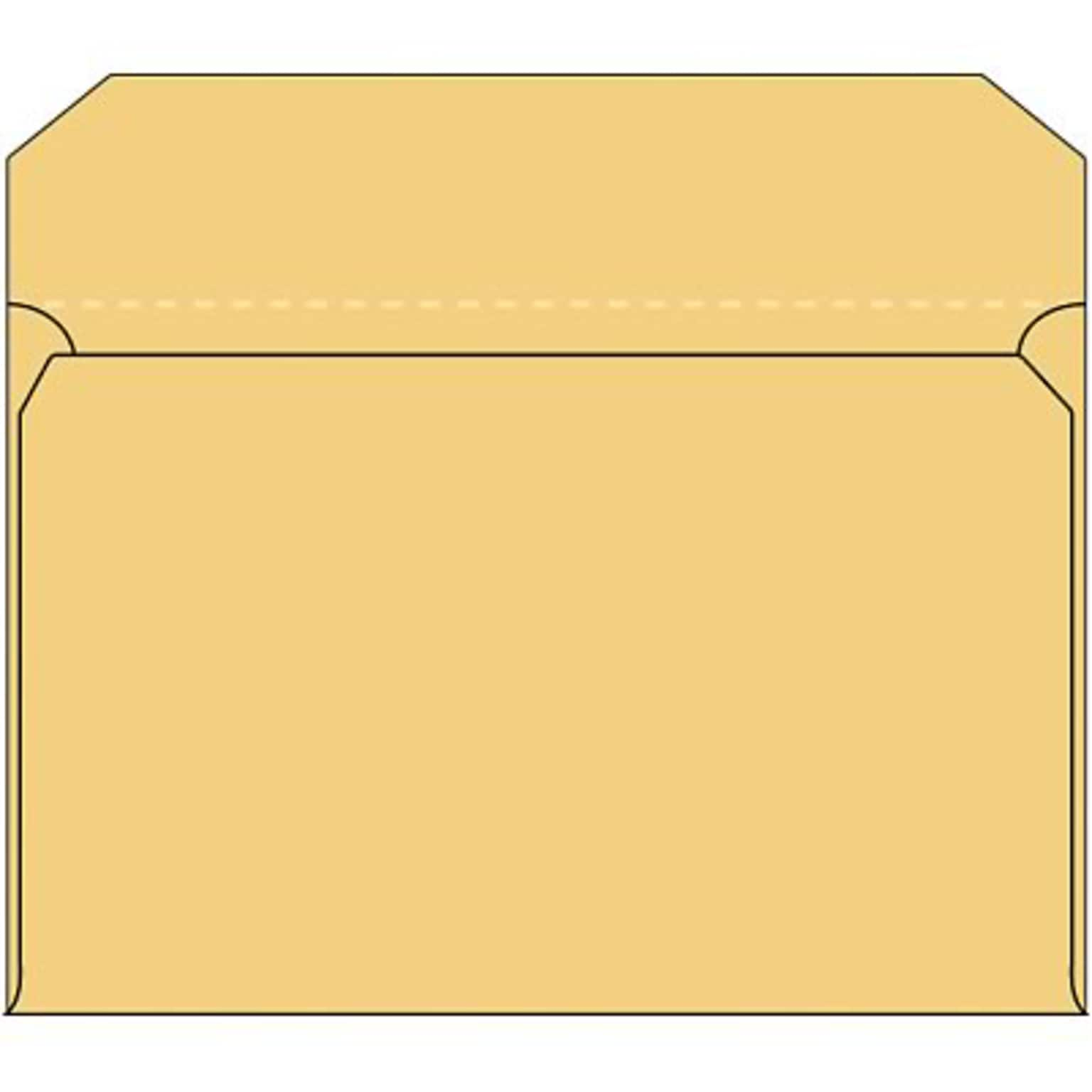 Quill Brand® Ungummed Side Opening Catalog Envelope, 10 x 15, Brown-Kraft, 100/Box (UG1015OS)