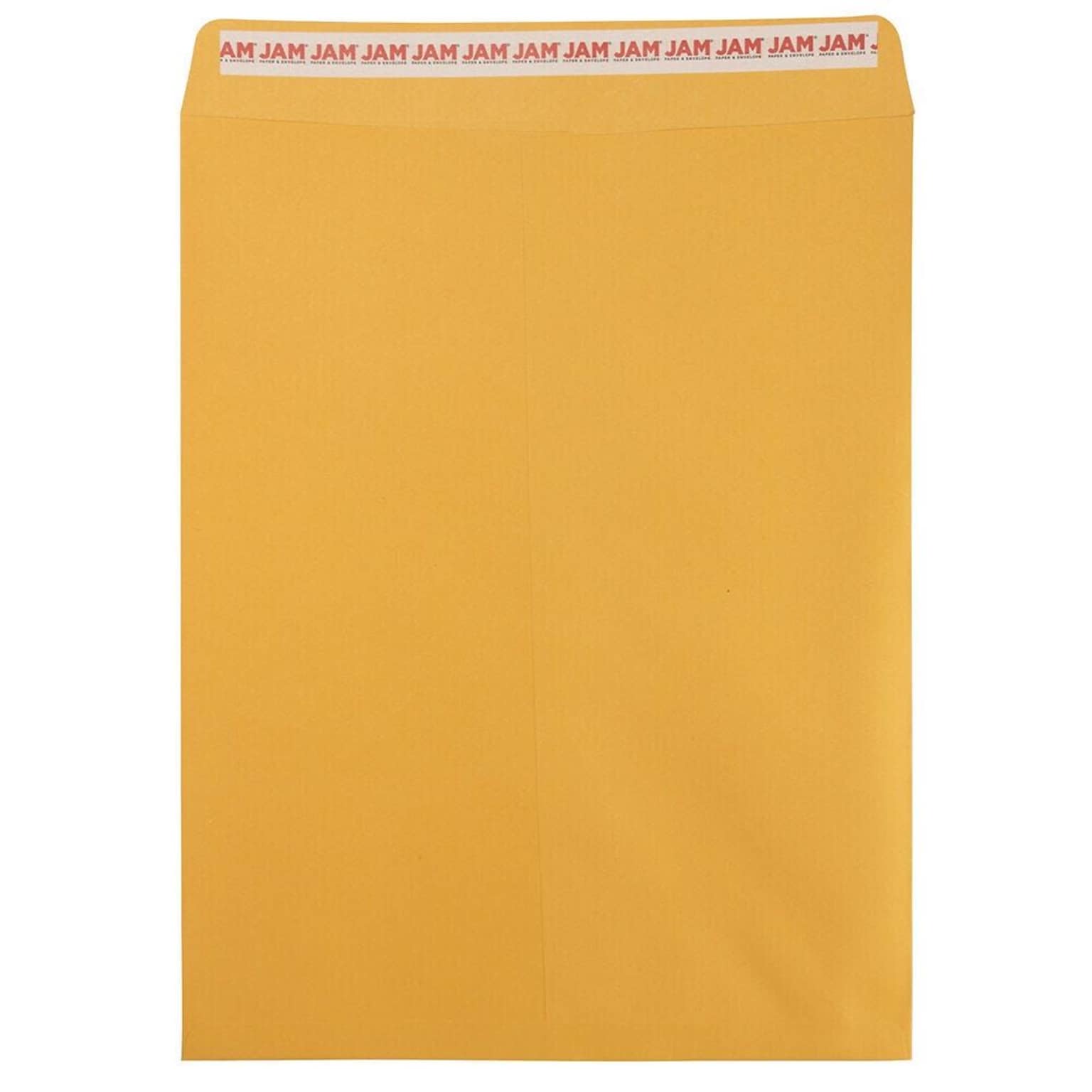 JAM Paper Self Seal Catalog Envelope, 12 x 15 1/2, Brown Kraft, 50/Pack (13034236I)