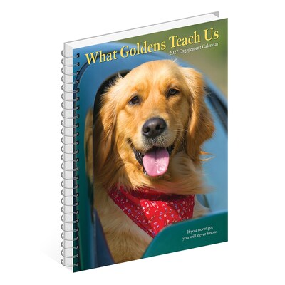 2027 Willow Creek What Goldens Teach Us 6.5" x 8.5" Weekly & Monthly Desk Calendar (64467)