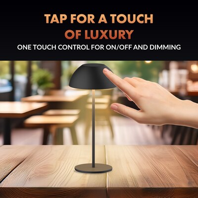 Newhouse Lighting Aurora Cordless and Rechargeable Table Lamp, Black (NHTL-AU-BLK)