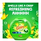 Gain flings Laundry Detergent Soap Pacs, HE Compatible, 76 Count, Long Lasting Scent, Original Scent