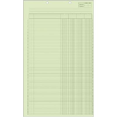 45604 NATIONAL Brand Analysis Pad 4 Columns Green Paper 11 x 8.5" 50 Sheets 
