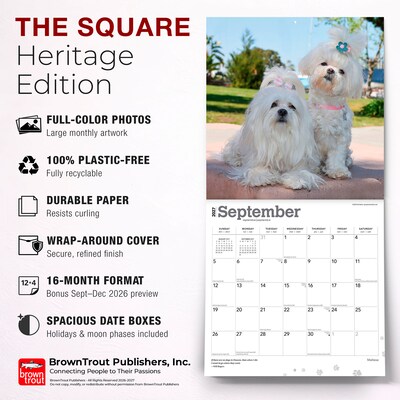 2027 BrownTrout Maltese 12" x 12" Monthly Wall Calendar (9798330714742)