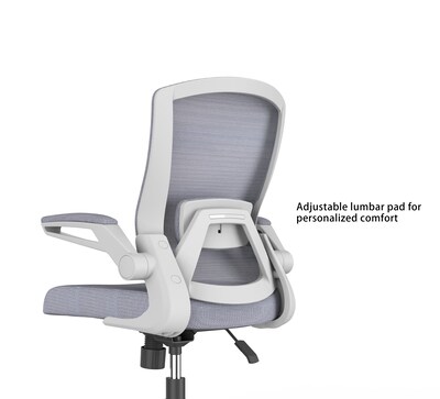 RAYNOR GROUP ION Fabric Task Chair, Gray/White (ION-WH-GRY)