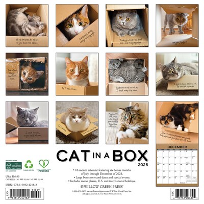 2025 Willow Creek Cat in a Box 12" x 12" Monthly Wall Calendar (42182)