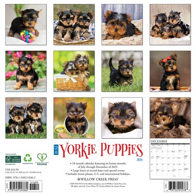 2026 Willow Creek Yorkie Puppies 12 x 12 Monthly Wall Calendar, Reversible (53362)
